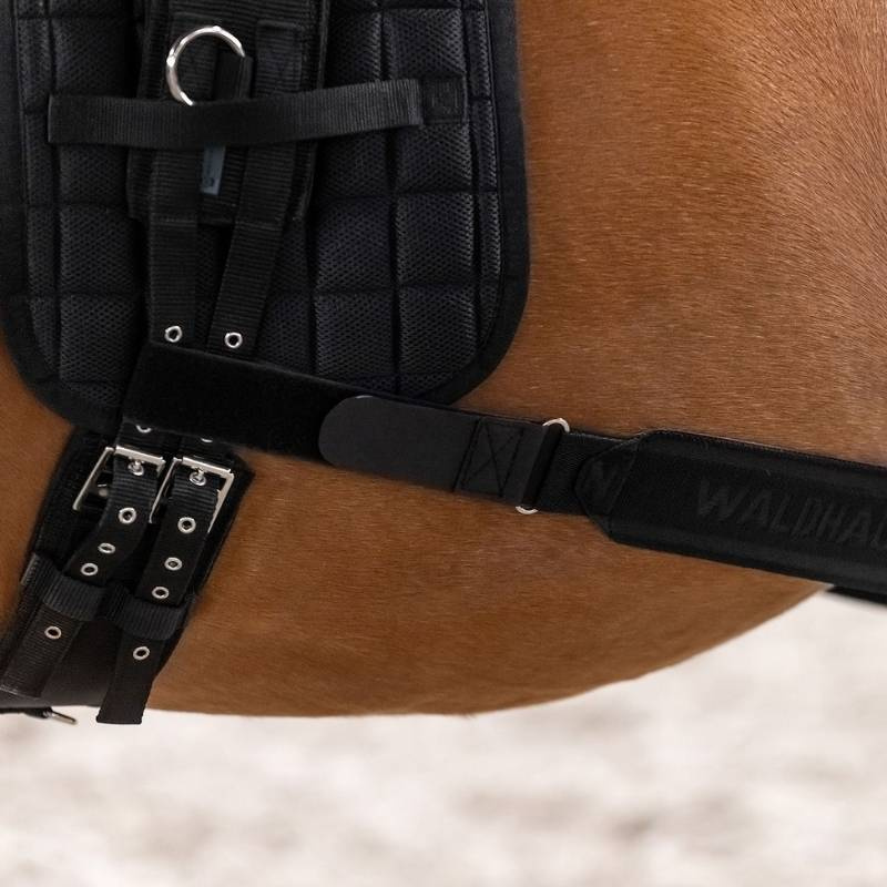 Body Bandage Elastic Schwarz Cob/Full