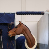 Boxenschutz Head Protector Marineblau Boxenschutz Head Protector Marineblau