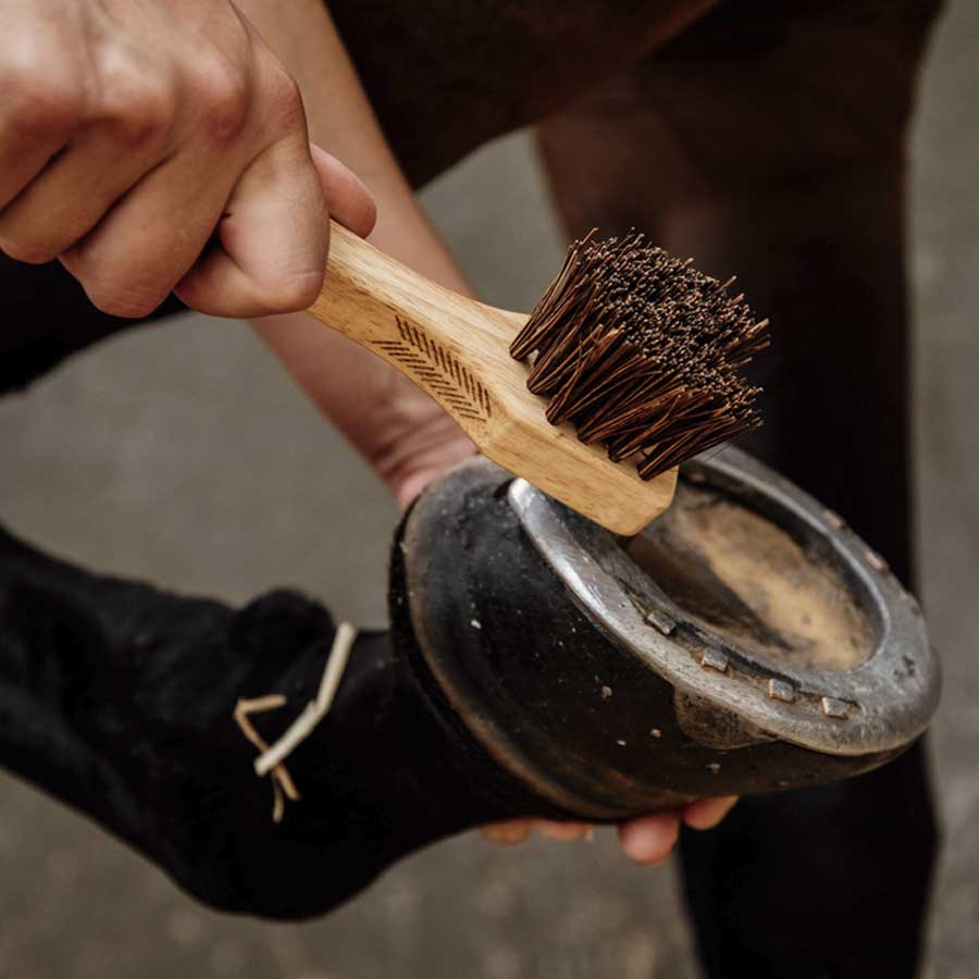 Hufkratzer mit Bürste Braun