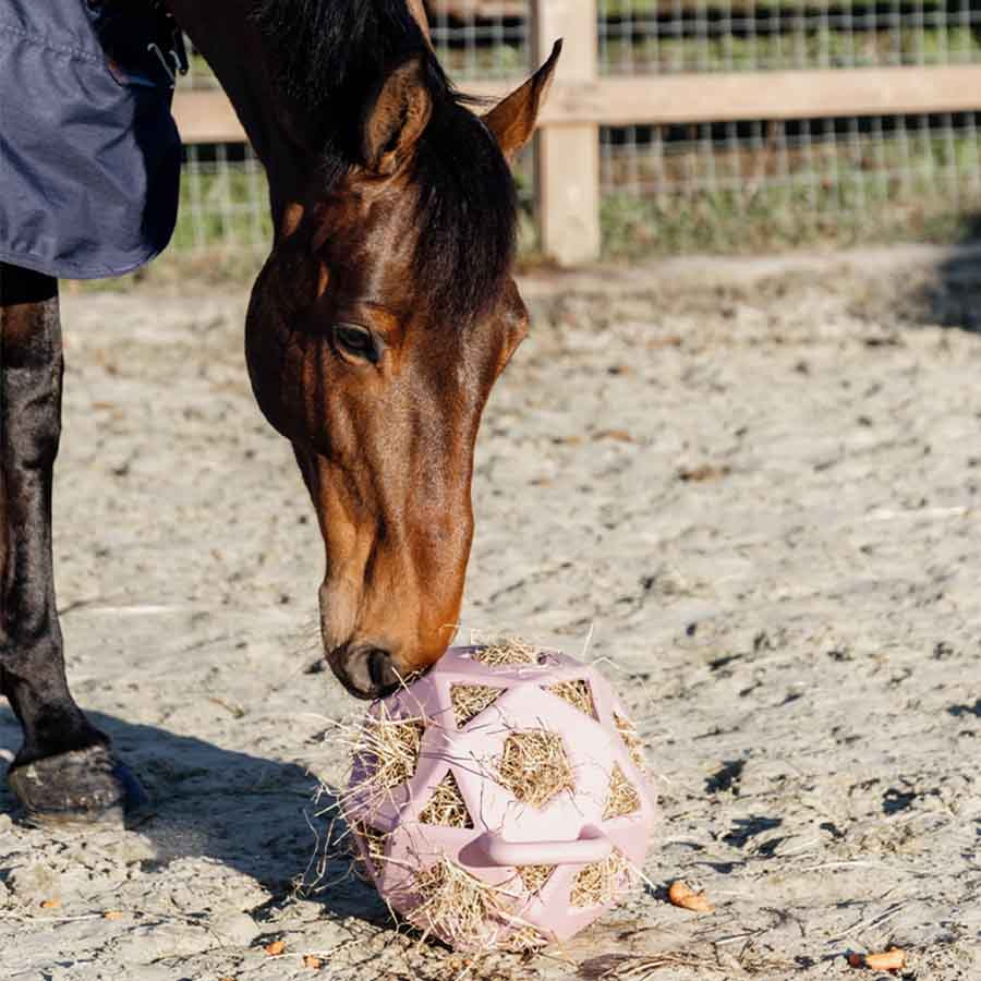 Heuball Relax Play & Hay Altrosa
