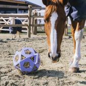 Heuball Relax Hay & Play Lila Heuball Relax Hay & Play Lila