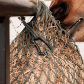 Aufhängehaken Aluminiumn Safety Snap Schwarz Aufhängehaken Aluminiumn Safety Snap Schwarz