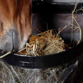 Heutasche Straight Schwarz Heutasche Straight Schwarz