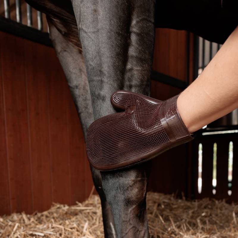 Putzhandschuh Rubber Braun