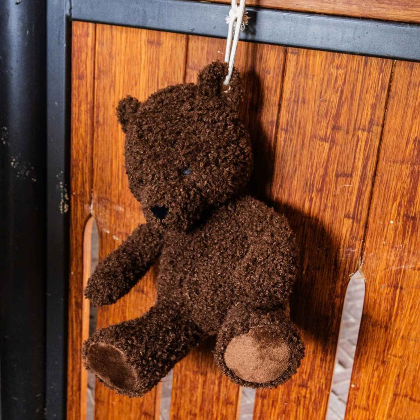 Pferdespielzeug Relax Bear Braun