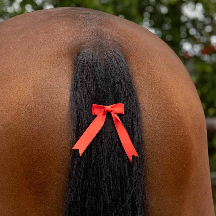 Schweifrosette Rot