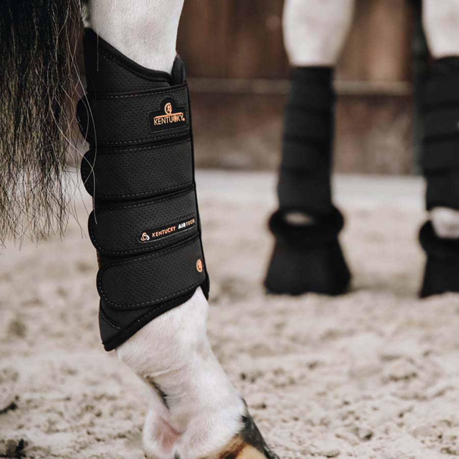 Springgamaschen Eventing Air Tech Hind Schwarz