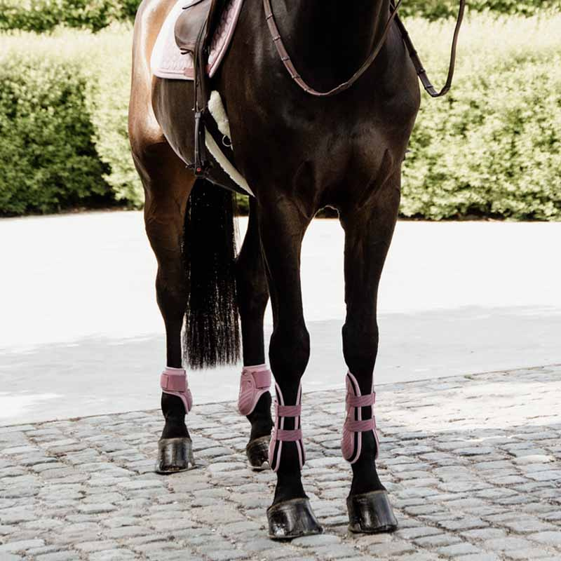 Springgamaschen Young Horse Shield Rosa