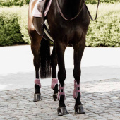 Springgamaschen Young Horse Shield Rosa Springgamaschen Young Horse Shield Rosa
