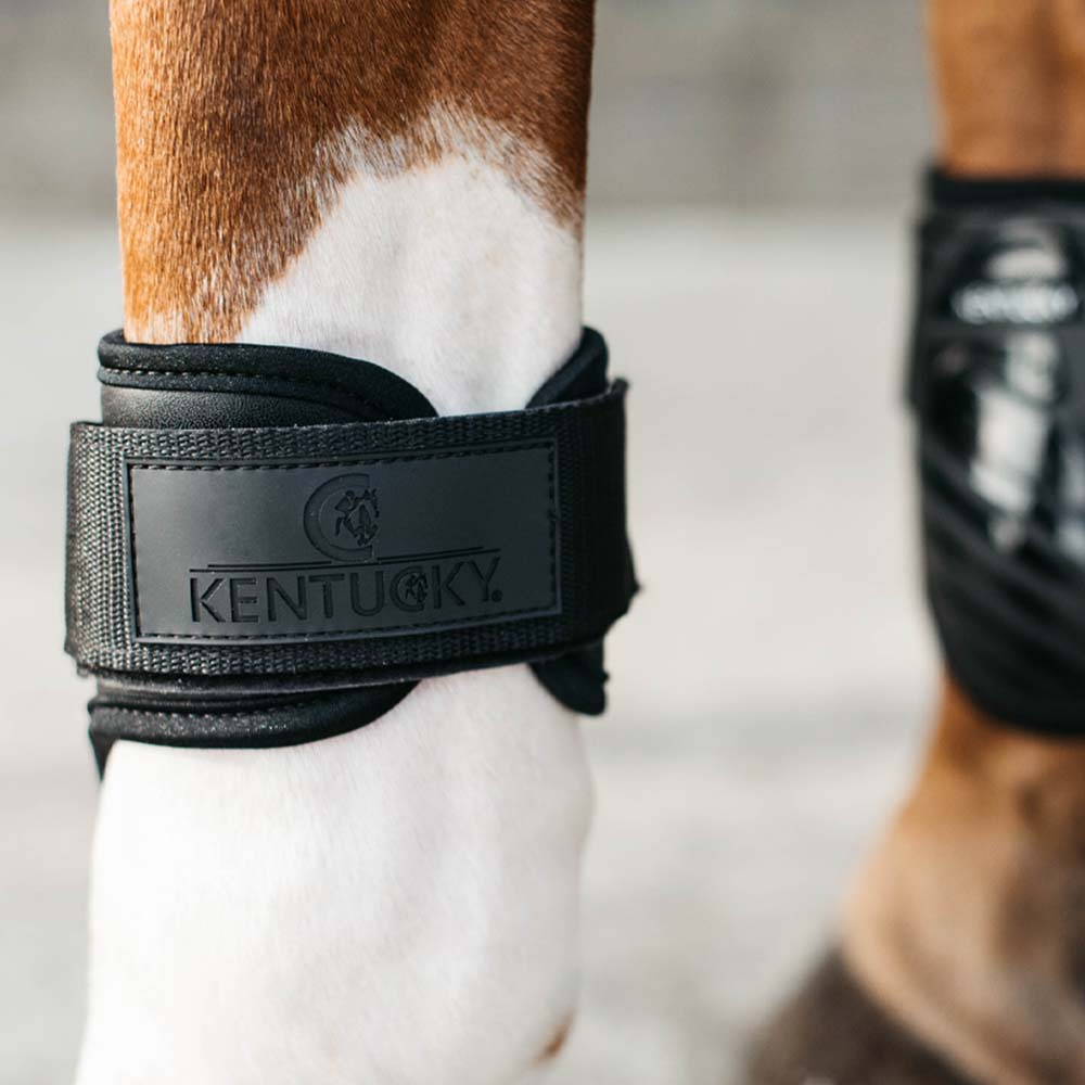 Young Horse Streichkappen Shield Schwarz
