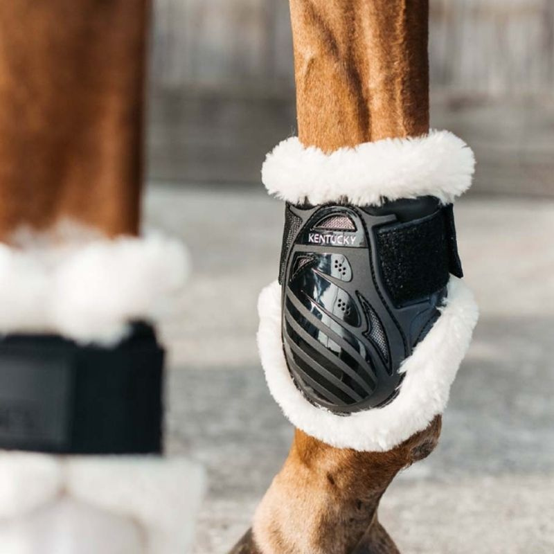 Young Horse Streichkappen Lammfell Shield Schwarz