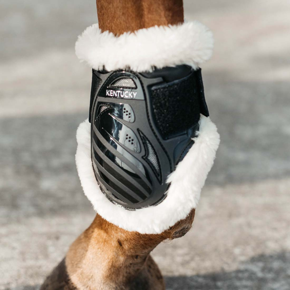 Young Horse Streichkappen Lammfell Shield Schwarz
