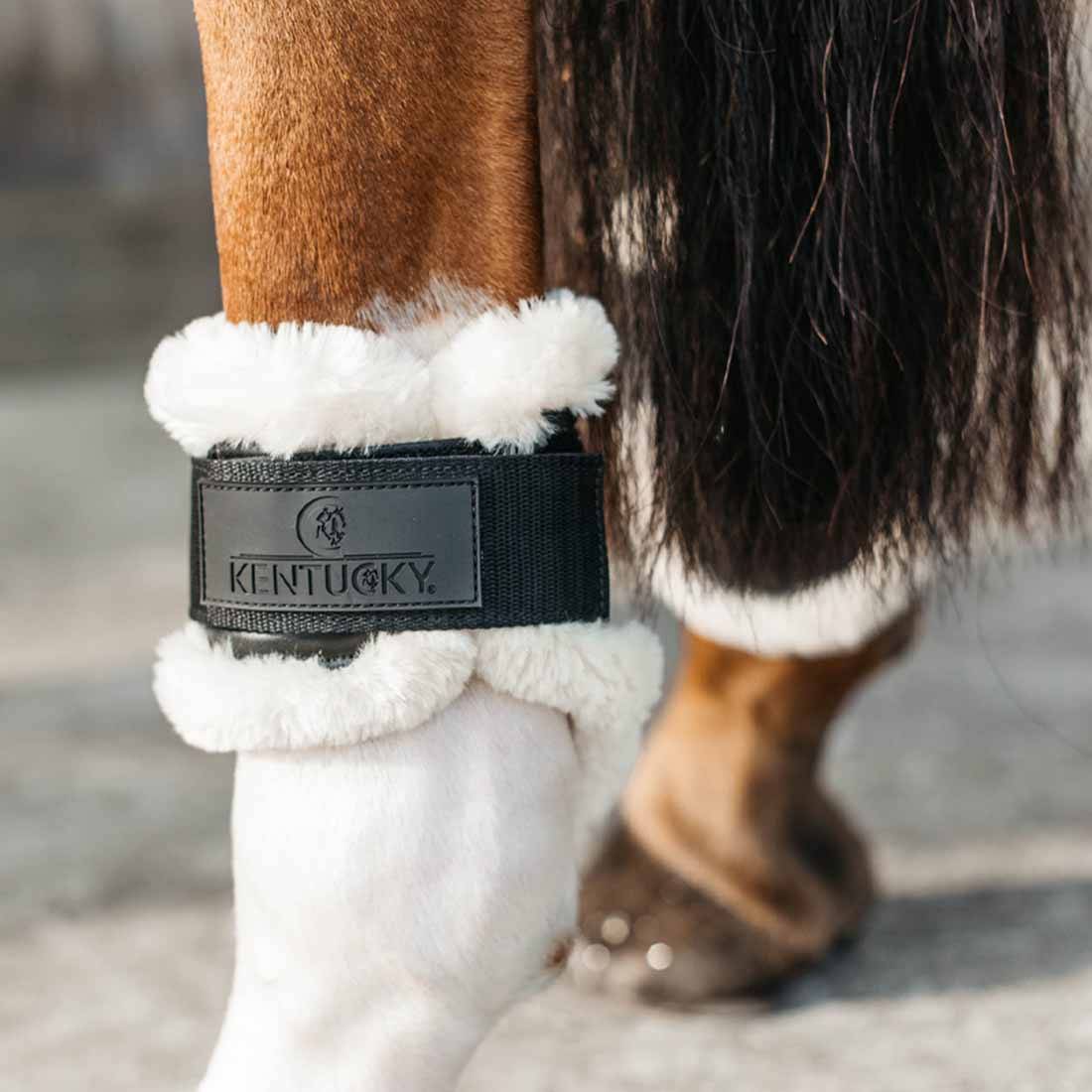 Young Horse Streichkappen Lammfell Shield Schwarz