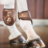 Young Horse Streichkappen Braun Young Horse Streichkappen Braun