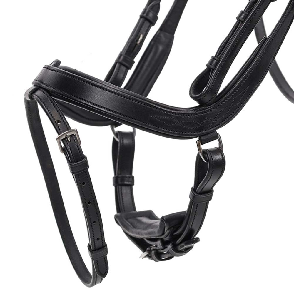 Anatomisches Trense Salerno Schwarz