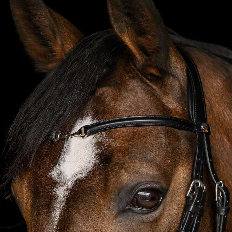 Trense Charmbit X-Line Schwarz