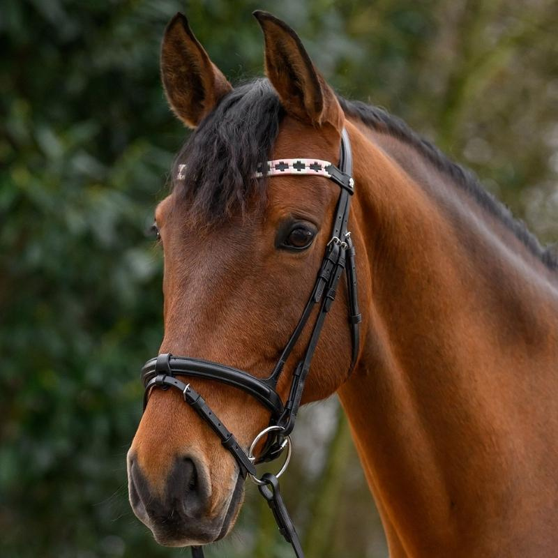 Stirnriemen Polo X-Line Schwarz/Rosa