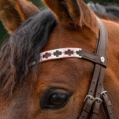 Stirnriemen Polo X-Line Braun/Rosa Stirnriemen Polo X-Line Braun/Rosa