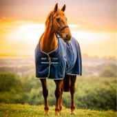 Outdoordecke Amigo Ripstop 900D 100g Witney Navy Outdoordecke Amigo Ripstop 900D 100g Witney Navy