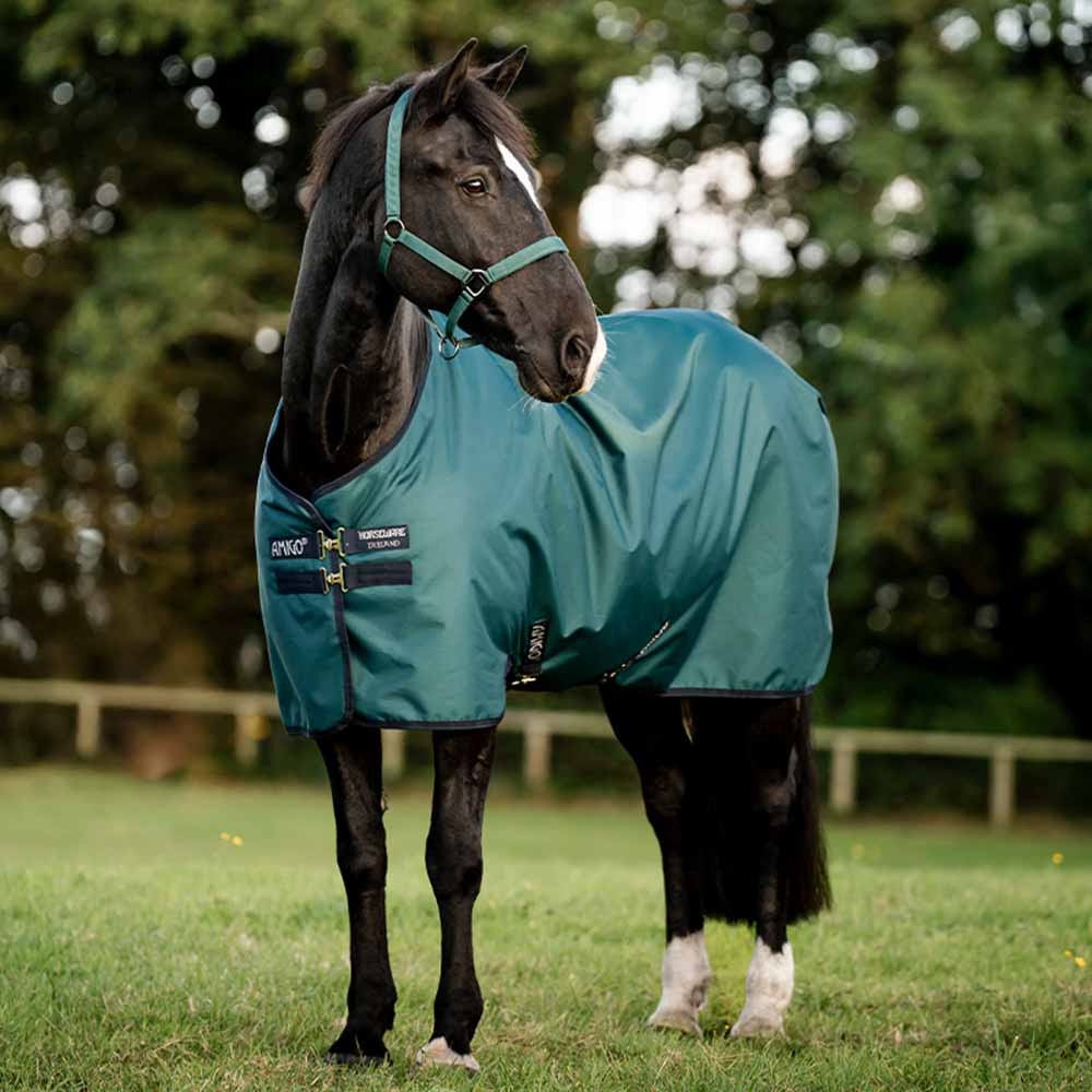 Regendecke Amigo Ripstop 900D 0g Grün/Marineblau/Silber