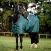 Regendecke Amigo Ripstop 900D 0g Grün/Marineblau/Silber Regendecke Amigo Ripstop 900D 0g Grün/Marineblau/Silber