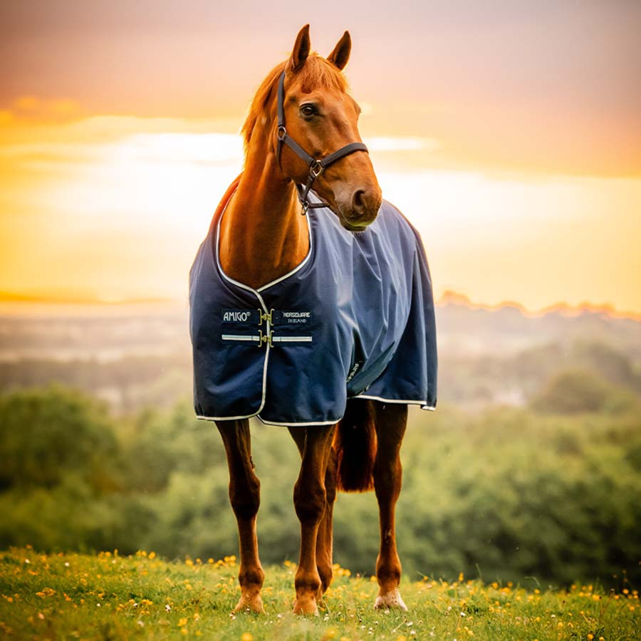Regendecke Amigo Ripstop 900D 0g Witney Navy