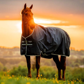 Regendecke Amigo Ripstop 900D 0g Witney Navy Regendecke Amigo Ripstop 900D 0g Witney Navy