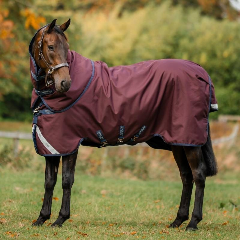Regendecke Amigo Plus 1200D 0g Bordeaux/Marineblau/Grau