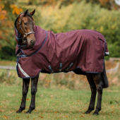 Regendecke Amigo Plus 1200D 0g Bordeaux/Marineblau/Grau Regendecke Amigo Plus 1200D 0g Bordeaux/Marineblau/Grau