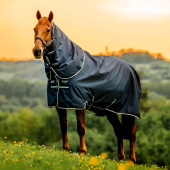 Regendecke Amigo Ripstop 900D Plus 0g Witney Navy Regendecke Amigo Ripstop 900D Plus 0g Witney Navy