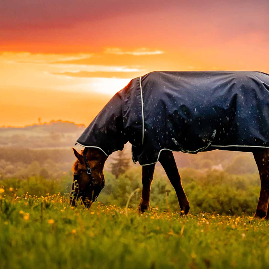 Regendecke Amigo Ripstop 900D Plus 0g Witney Navy
