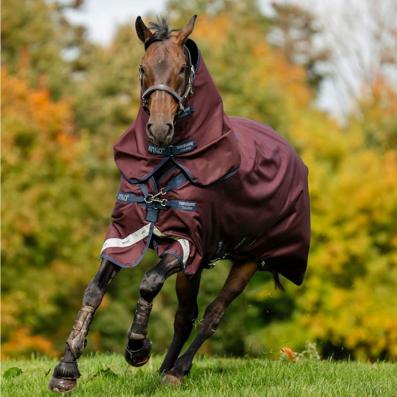 Outdoordecke Amigo Plus 1200D 100g Bordeaux/Marineblau/Grau