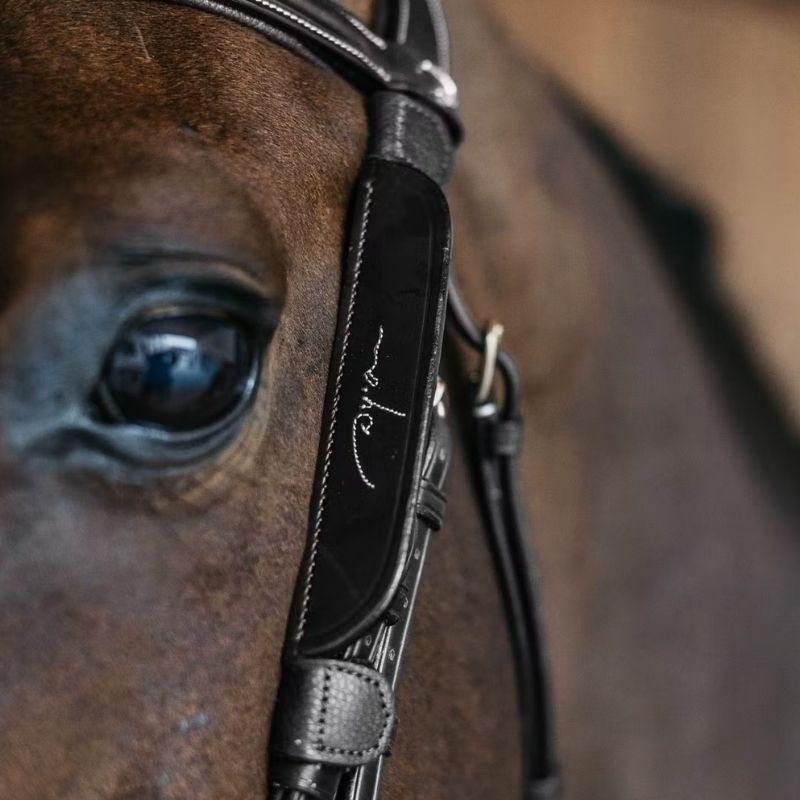 Blinkers Fancy Stitching Schwarz