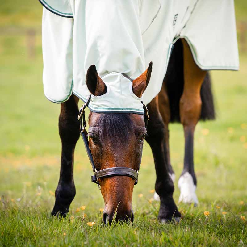 Rambo Hoody Fliegen- und Ekzemerdecke inkl. Fliegenhaube Hellgrün