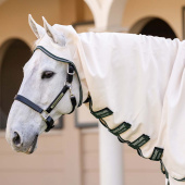 Fliegen- und Ekzemerdecke Rambo Hoody XL Beige/Grün/Silber Fliegen- und Ekzemerdecke Rambo Hoody XL Beige/Grün/Silber