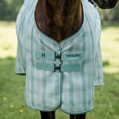 Fliegendecke Newmarket Witney Dynasty Fliegendecke Newmarket Witney Dynasty