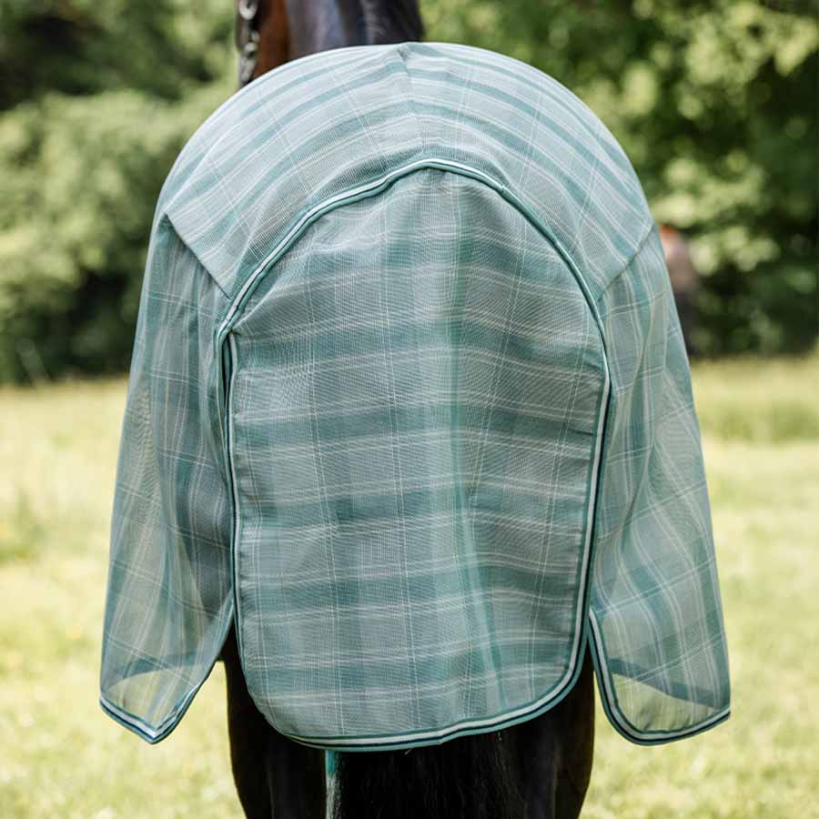 Fliegendecke Newmarket Witney Dynasty