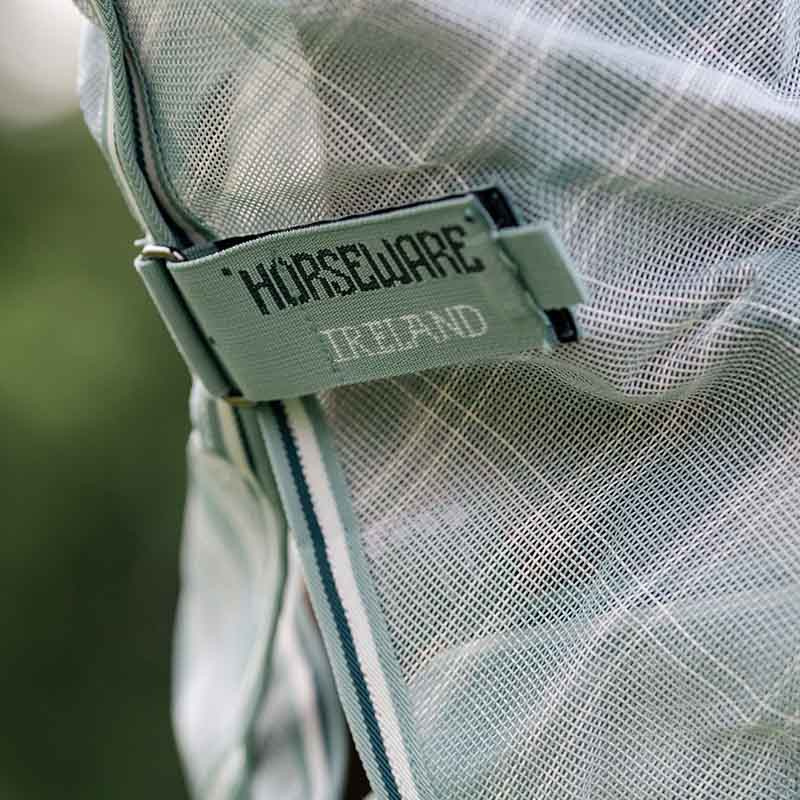 Halsteil Newmarket Witney Dynasty