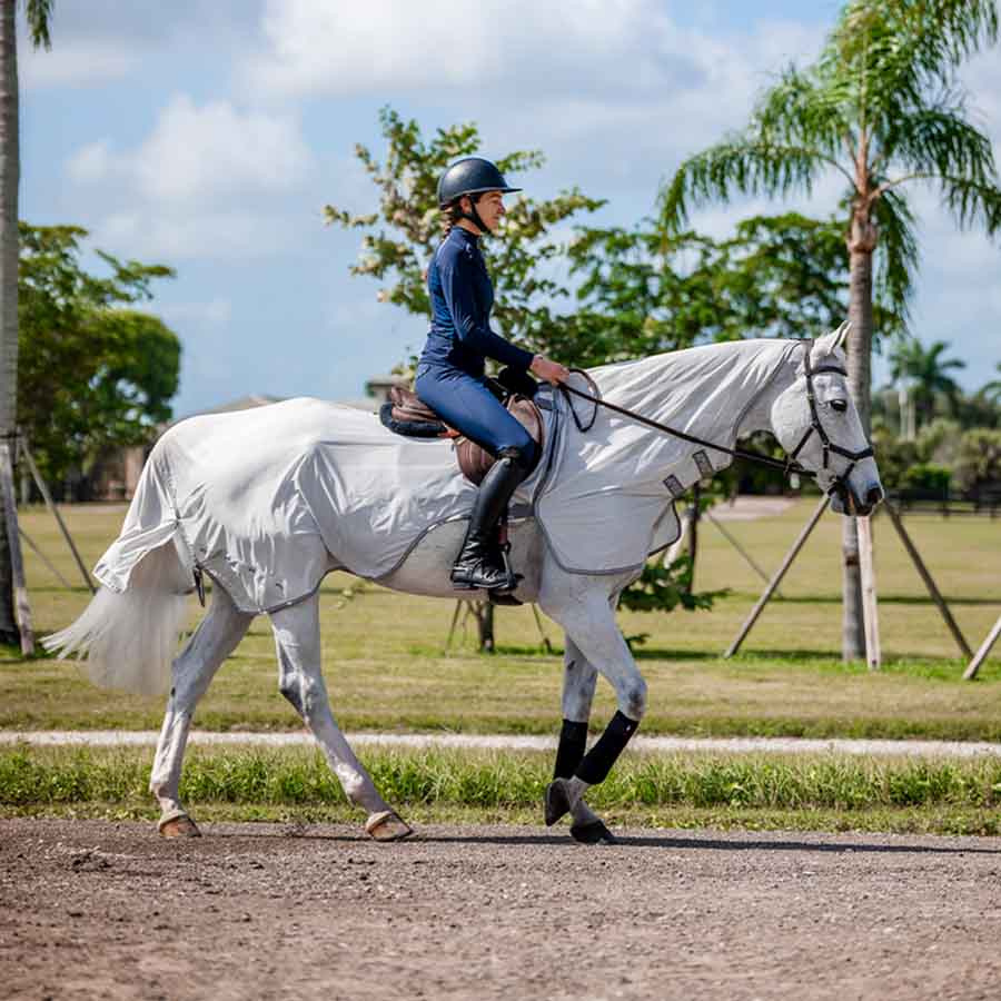 Fliegendecke Amigo Flyrider Silber/Grau