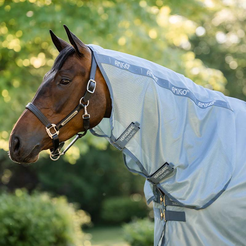 Fliegendecke Amigo Integrated Hellblau/Blau/Silber