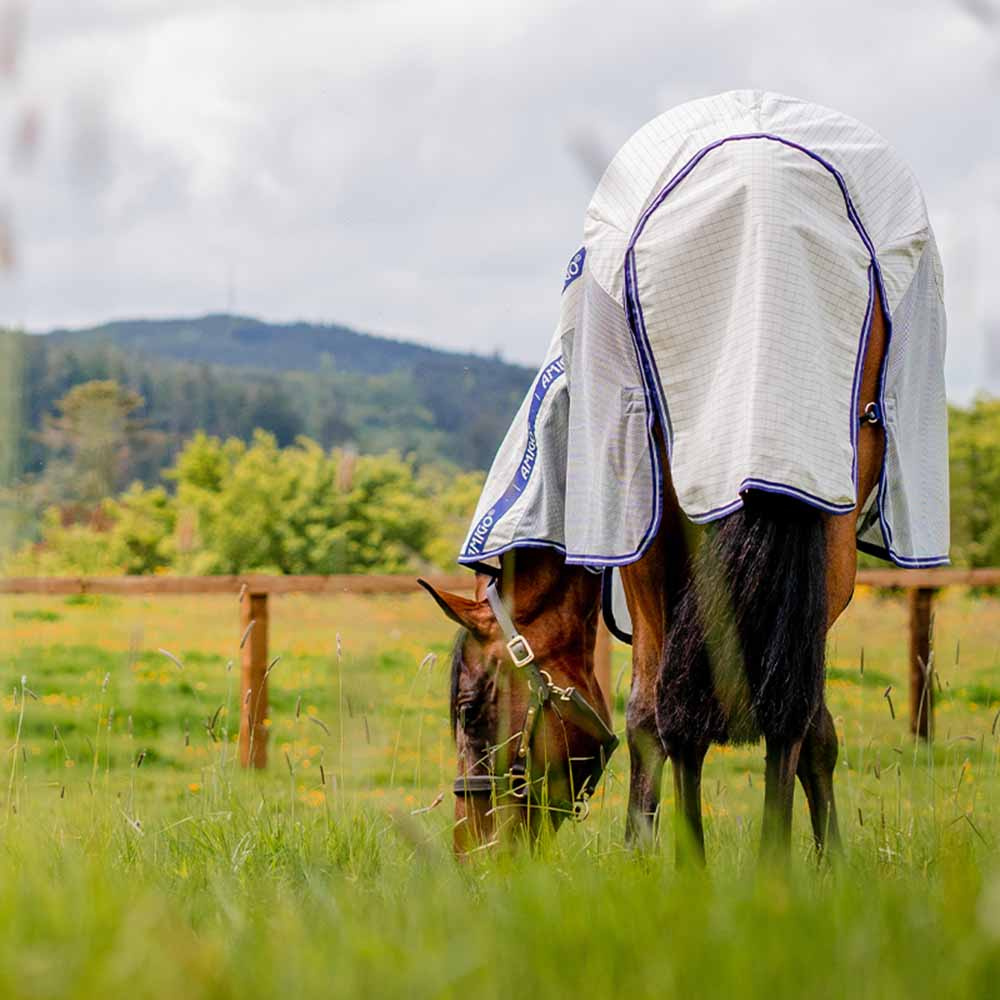 Fliegen- und Sommerdecke Amigo Airflow Plus Weiß/Grau/Blau