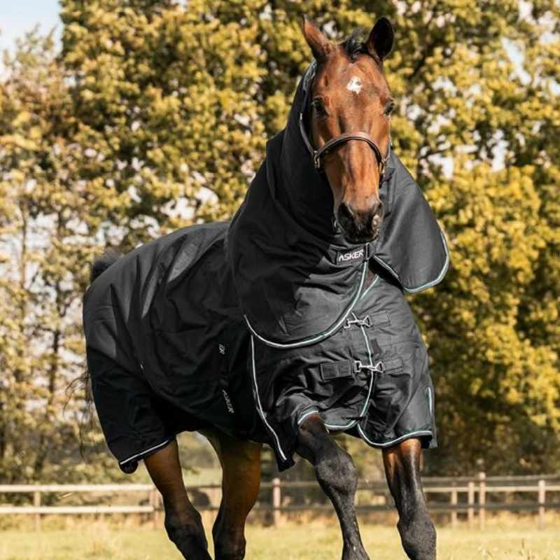 Winterdecke mit Halsteil Turnout Plus 300g 1200D Schwarz