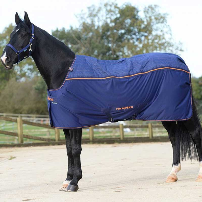 Therapy Cooler Marineblau/Orange