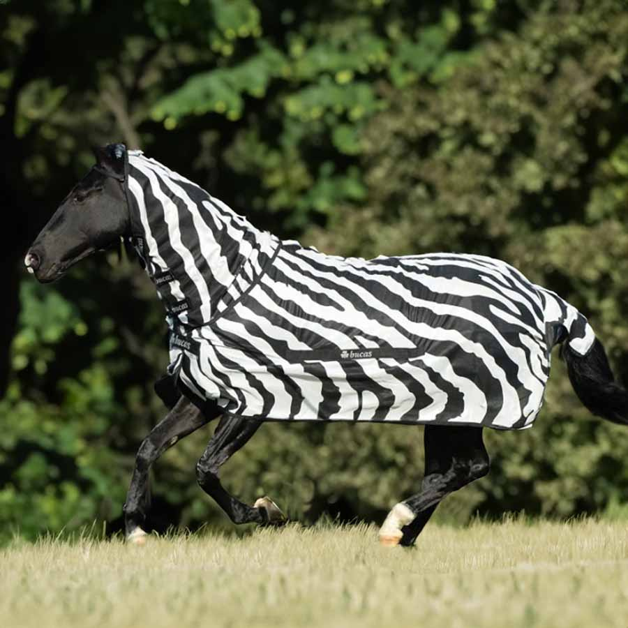 Fliegendecke Buzz Off Zebra