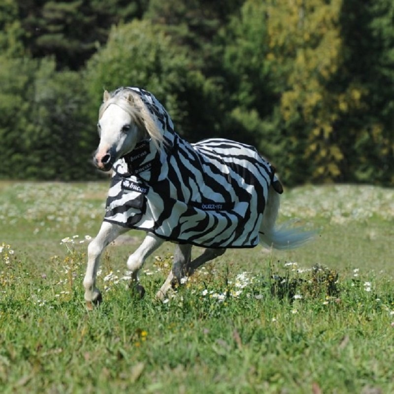 Fliegendecke Buzz Off Zebra