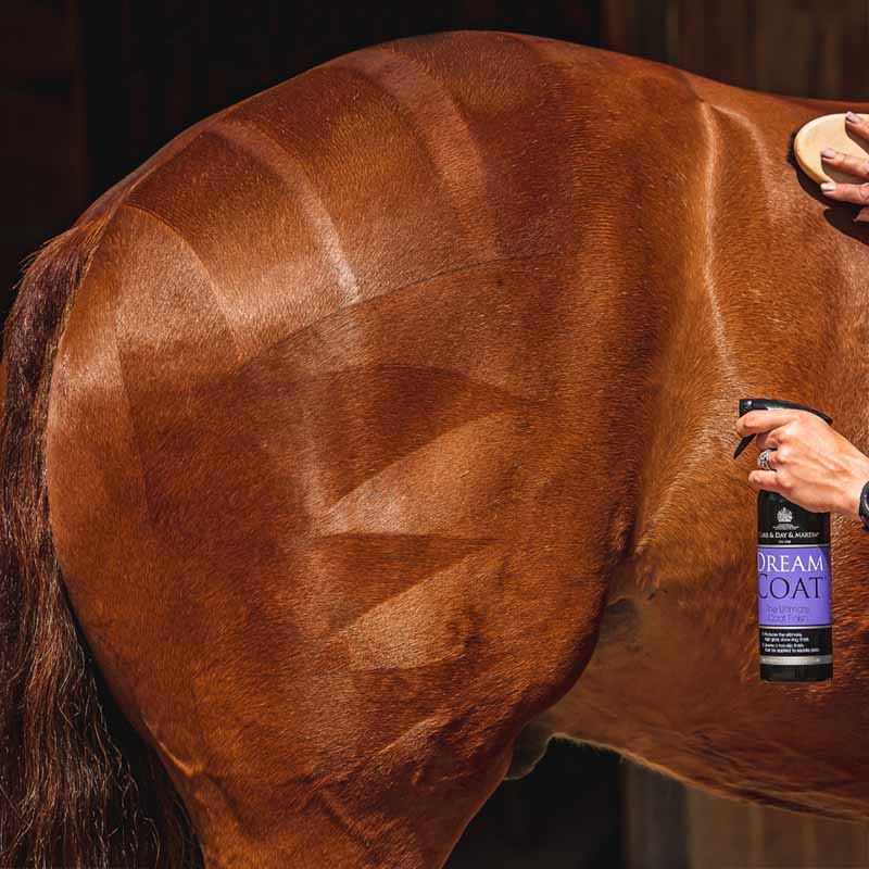 Fellpflege The Ultimate Grooming Duo