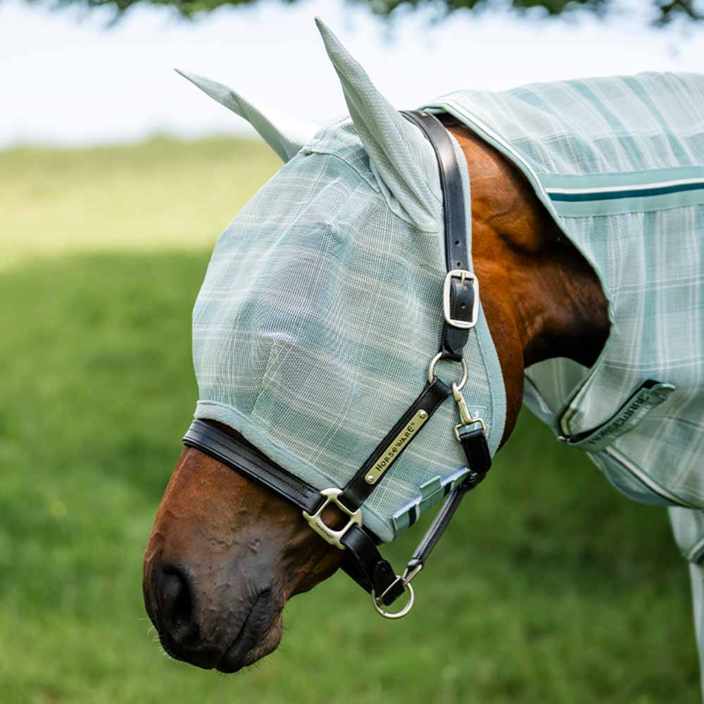 Fliegenhaube Newmarket Witney Dynasty