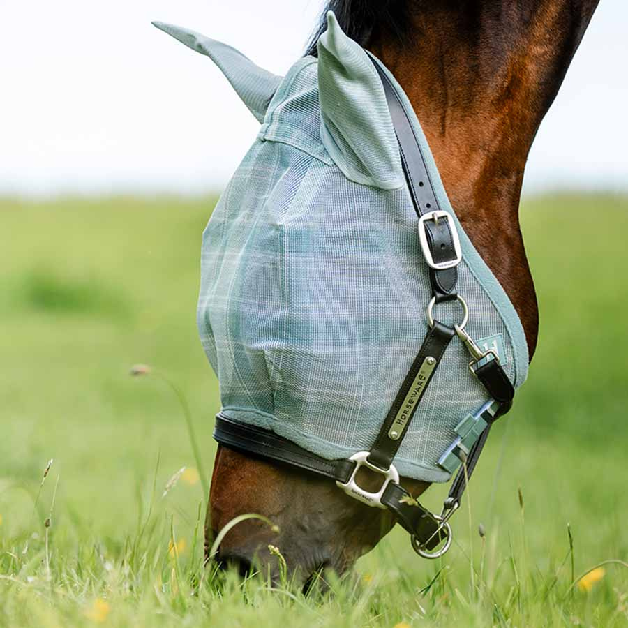 Fliegenhaube Newmarket Witney Dynasty