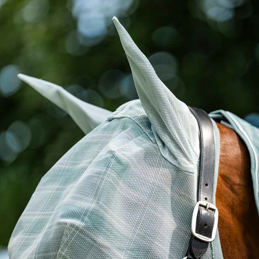 Fliegenhaube Newmarket Witney Dynasty