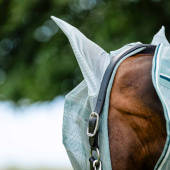 Fliegenhaube Newmarket Witney Dynasty Fliegenhaube Newmarket Witney Dynasty